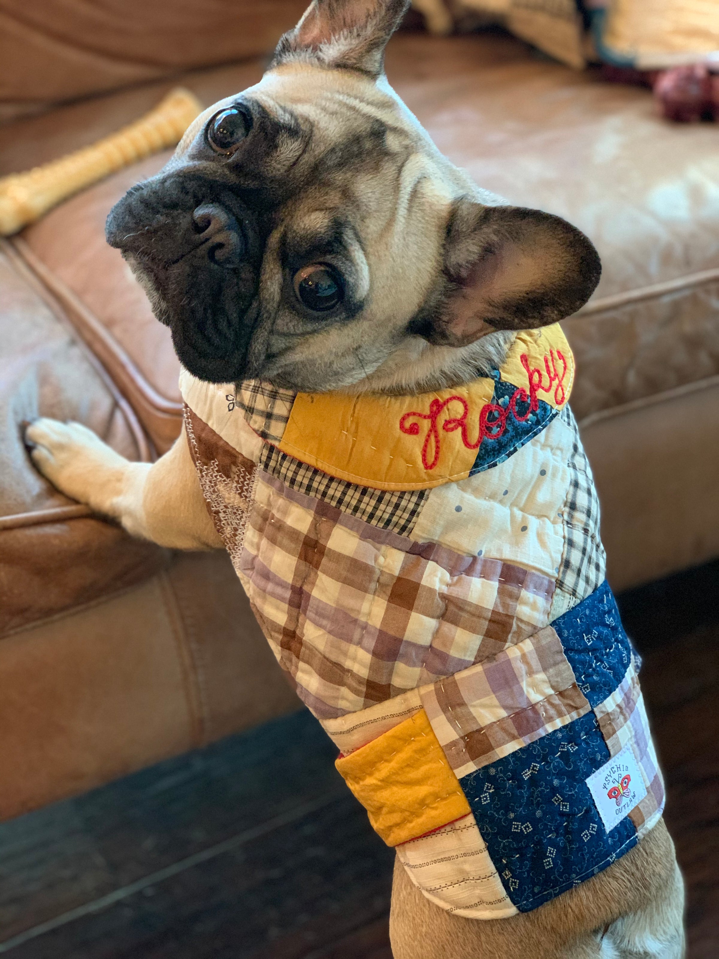 readymade pet jackets