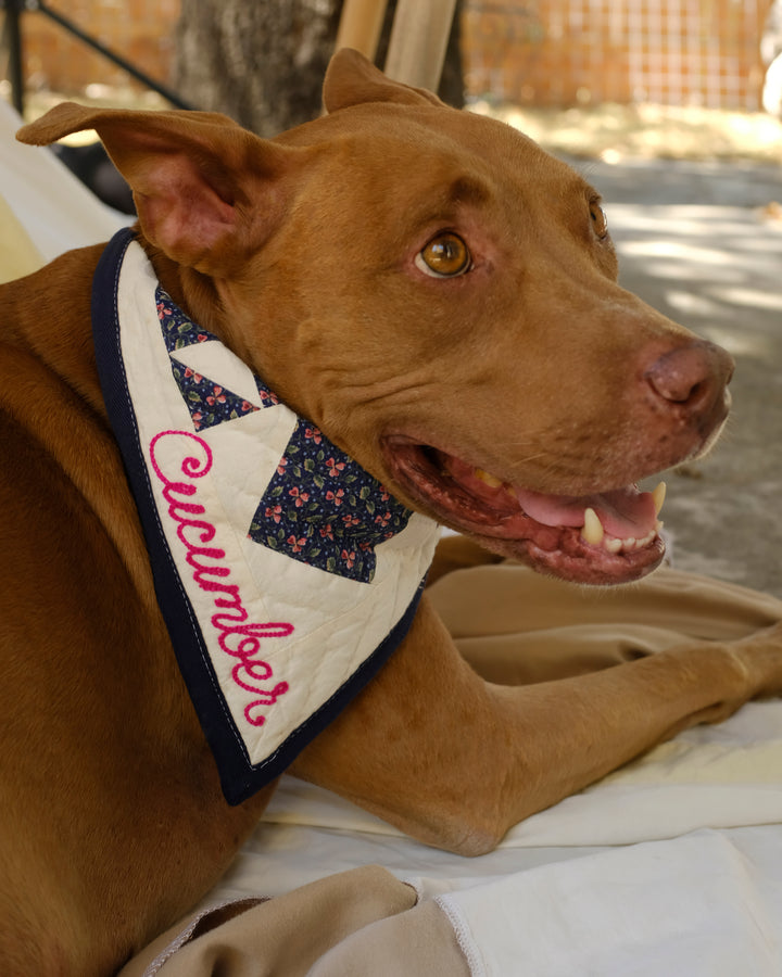 Upcycle Your Scraps - Pet Bandana (Mailed in Materials)