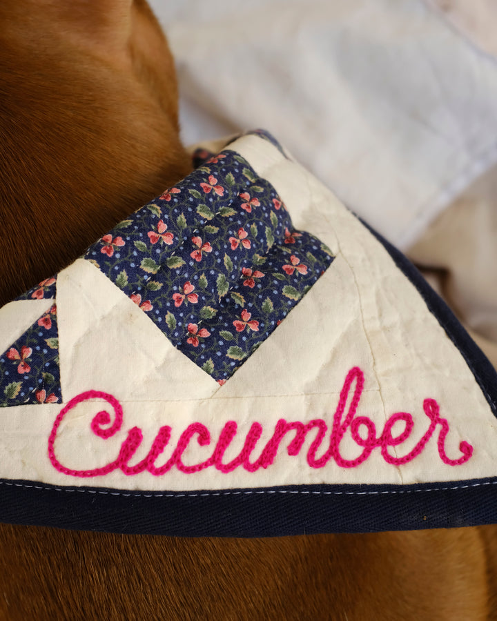 Upcycle Your Scraps - Pet Bandana (Mailed in Materials)