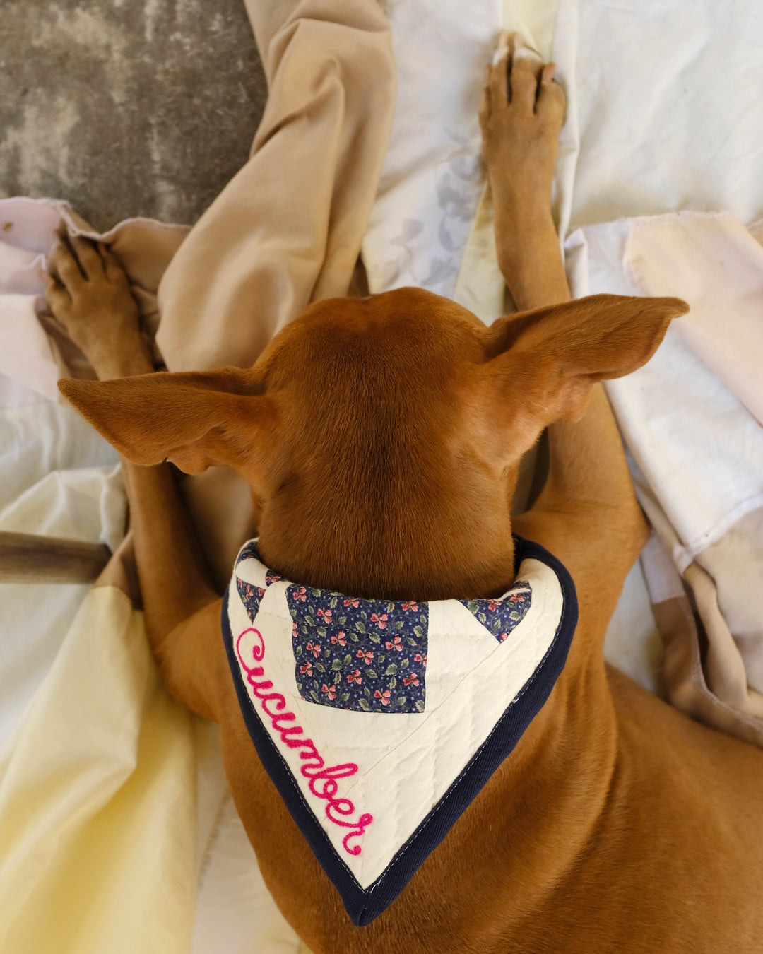 Upcycle Your Scraps - Pet Bandana (Mailed in Materials)