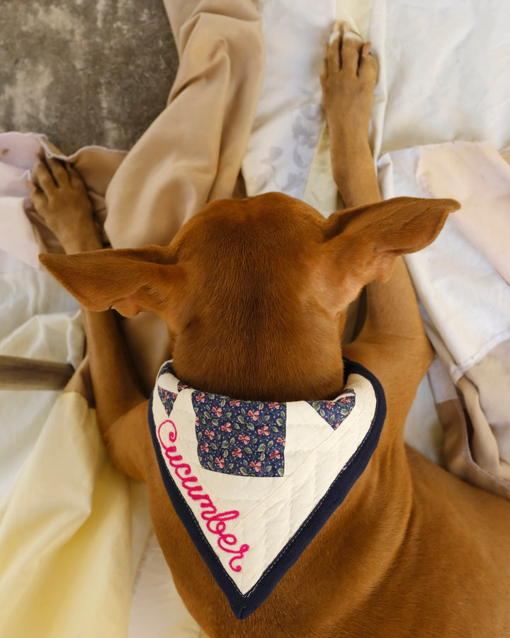 Upcycle Your Scraps - Pet Bandana (Mailed in Materials)