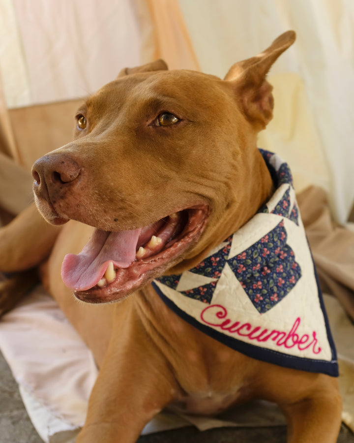 Upcycle Your Scraps - Pet Bandana (Mailed in Materials)