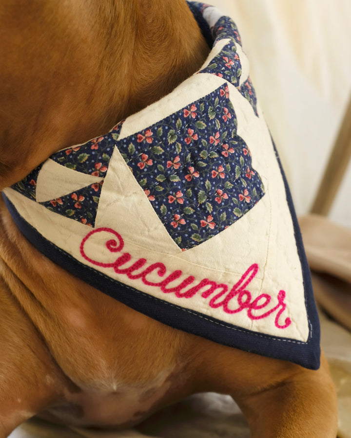 Upcycle Your Scraps - Pet Bandana (Mailed in Materials)